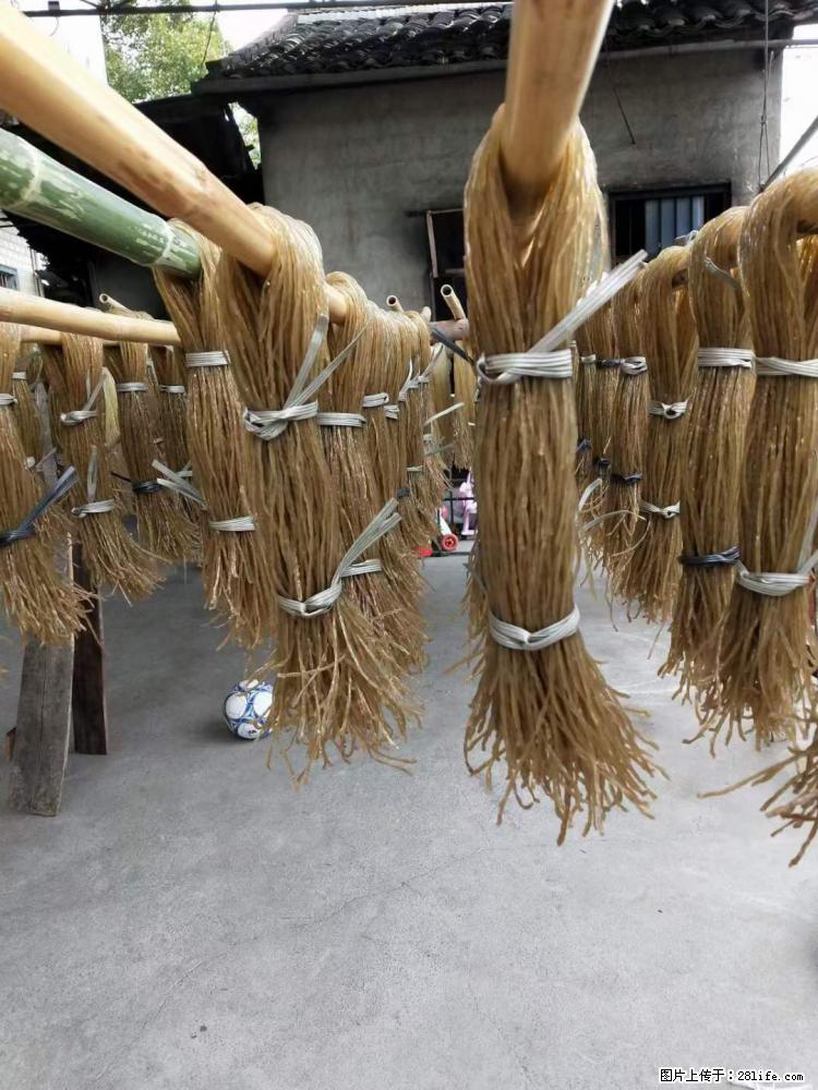 【灌阳正宗红薯粉】美女家里自己做的，干净卫生，假一赔十，价格合理，抢购电话：13737312895 - 美食天地 - 吐鲁番生活社区 - 吐鲁番28生活网 tlf.28life.net