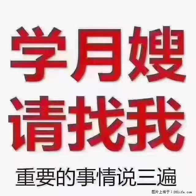 为什么要学习月嫂，育婴师？ - 其他广告 - 广告专区 - 吐鲁番分类信息 - 吐鲁番28生活网 tlf.28life.net