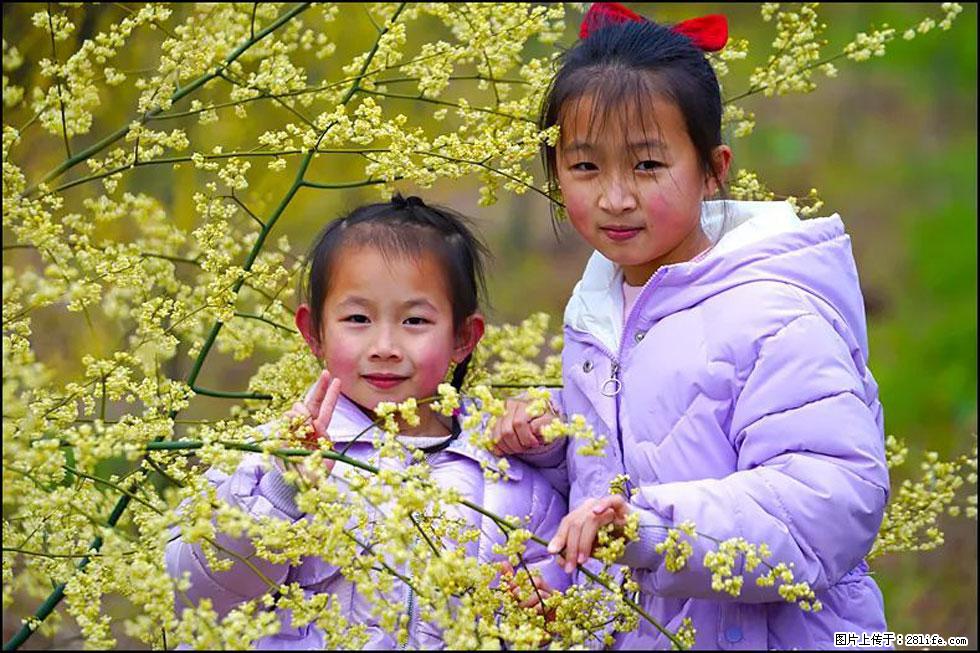 【春天，广西桂林灌阳县向您发出邀请！】米珠山前有片山苍子花在飘香 - 游山玩水 - 吐鲁番生活社区 - 吐鲁番28生活网 tlf.28life.net