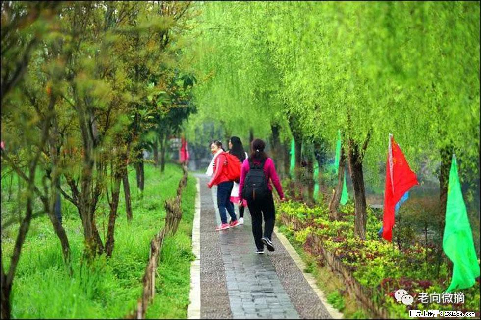 【春天,广西桂林灌阳县向您发出邀请!】江口老街又逢春 - 游山玩水 - 吐鲁番生活社区 - 吐鲁番28生活网 tlf.28life.net