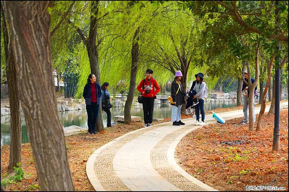 【春天,广西桂林灌阳县向您发出邀请!】江口老街又逢春 - 游山玩水 - 吐鲁番生活社区 - 吐鲁番28生活网 tlf.28life.net
