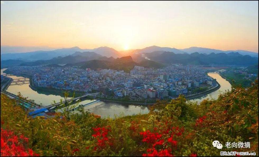 【春天，广西桂林灌阳县向您发出邀请！】登麒麟山，相约映山红 - 游山玩水 - 吐鲁番生活社区 - 吐鲁番28生活网 tlf.28life.net