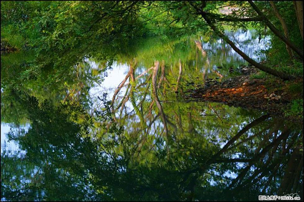 【春天，广西桂林灌阳县向您发出邀请！】熊家寨湿地公园 - 游山玩水 - 吐鲁番生活社区 - 吐鲁番28生活网 tlf.28life.net