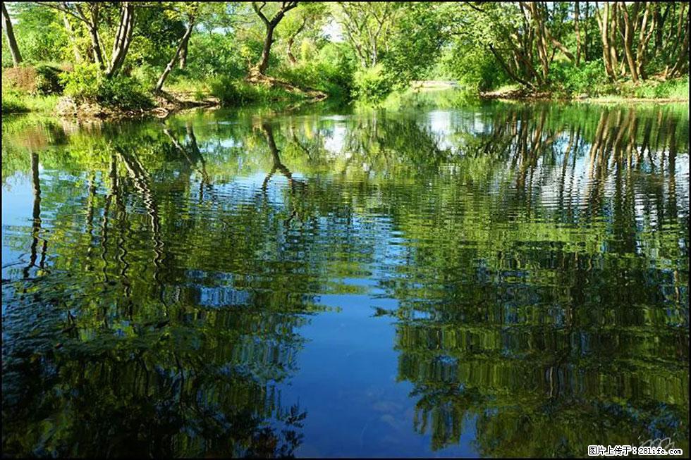 【春天，广西桂林灌阳县向您发出邀请！】熊家寨湿地公园 - 游山玩水 - 吐鲁番生活社区 - 吐鲁番28生活网 tlf.28life.net