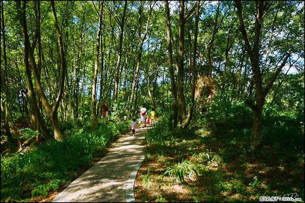 【春天，广西桂林灌阳县向您发出邀请！】熊家寨湿地公园 - 游山玩水 - 吐鲁番生活社区 - 吐鲁番28生活网 tlf.28life.net