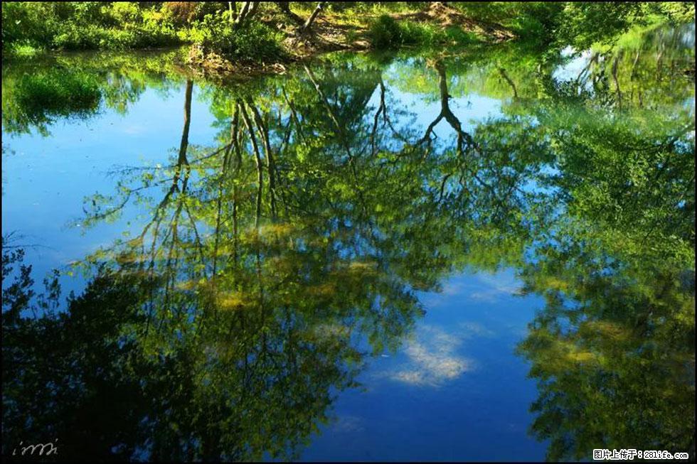 【春天，广西桂林灌阳县向您发出邀请！】熊家寨湿地公园 - 游山玩水 - 吐鲁番生活社区 - 吐鲁番28生活网 tlf.28life.net