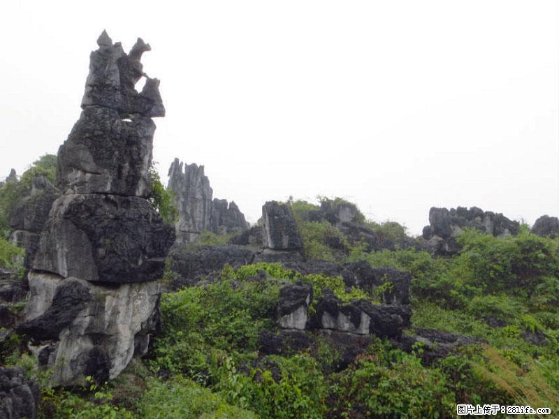 桂林旅游名城景点：灌阳文市石林 - 游山玩水 - 吐鲁番生活社区 - 吐鲁番28生活网 tlf.28life.net