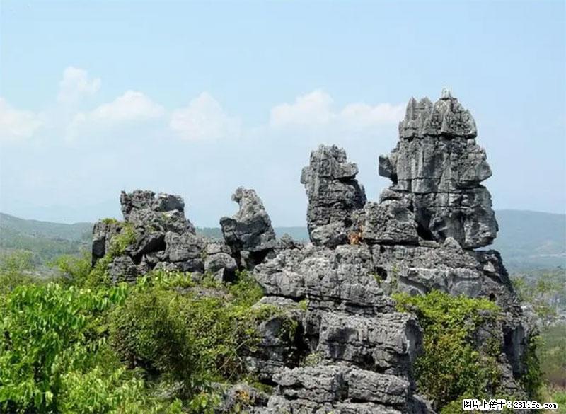 桂林旅游名城景点：灌阳文市石林 - 游山玩水 - 吐鲁番生活社区 - 吐鲁番28生活网 tlf.28life.net