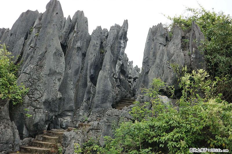 桂林旅游名城景点：灌阳文市石林 - 游山玩水 - 吐鲁番生活社区 - 吐鲁番28生活网 tlf.28life.net