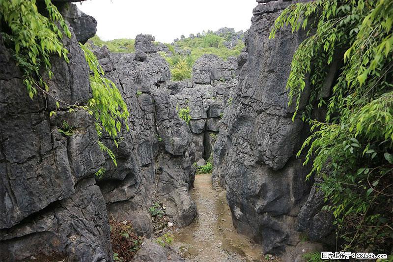 桂林旅游名城景点：灌阳文市石林 - 游山玩水 - 吐鲁番生活社区 - 吐鲁番28生活网 tlf.28life.net