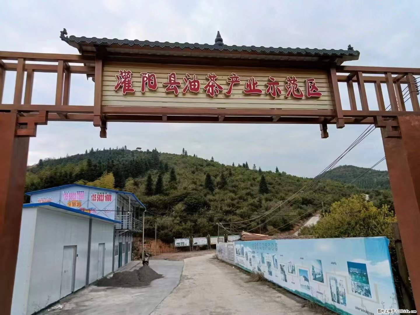 【灌阳县油茶产业示范区】一个有着充实的精神生活的人，对待身外之物自会有一种淡泊的态度 - 美食天地 - 吐鲁番生活社区 - 吐鲁番28生活网 tlf.28life.net