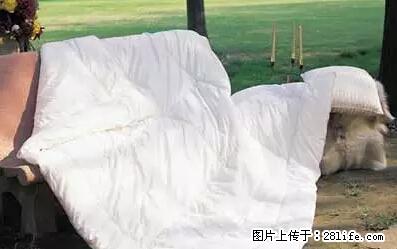 被子有异味？只要这样做，比晒太阳还强100倍！ - 家居生活 - 吐鲁番生活社区 - 吐鲁番28生活网 tlf.28life.net