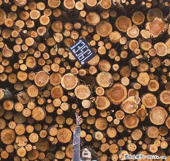 辞掉工作周游世界？现在他们在洗厕所…… - 游山玩水 - 吐鲁番生活社区 - 吐鲁番28生活网 tlf.28life.net