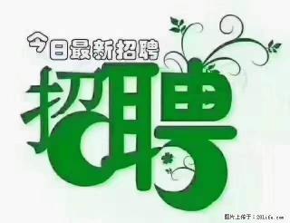 【招聘摄像师】待遇：试用期6000元/月，转正7000元/月+五险一金+餐补+节日福利+奖金 - 吐鲁番28生活网 tlf.28life.net