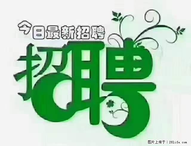 上海青浦区招仓管 - 职场交流 - 吐鲁番生活社区 - 吐鲁番28生活网 tlf.28life.net