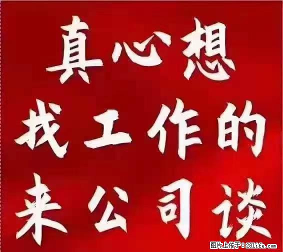 【上海】国企，医院招两名男保安，55岁以下，身高1.7米以上，无犯罪记录不良嗜好 - 职场交流 - 吐鲁番生活社区 - 吐鲁番28生活网 tlf.28life.net