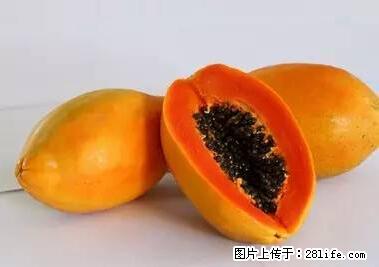 晕车、脚气、牙齿变黄、皮肤粗糙？学会这些三分钟搞定！ - 吐鲁番生活资讯 - 吐鲁番28生活网 tlf.28life.net