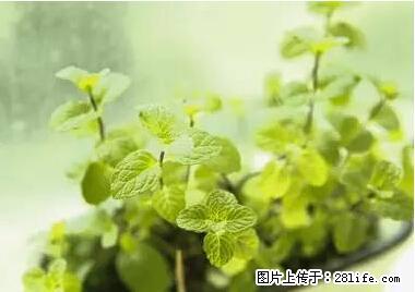 晕车、脚气、牙齿变黄、皮肤粗糙？学会这些三分钟搞定！ - 吐鲁番生活资讯 - 吐鲁番28生活网 tlf.28life.net