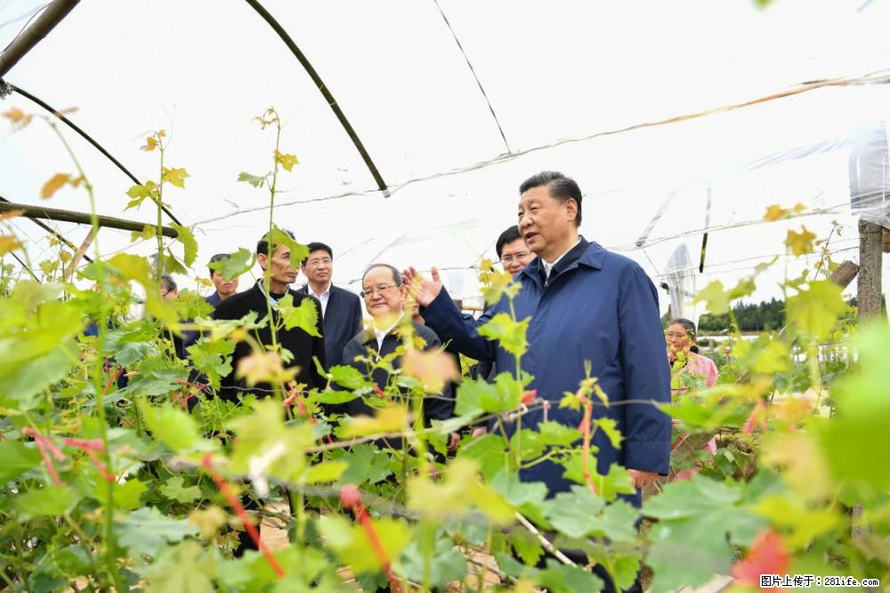 习近平赴广西考察调研 - 吐鲁番生活资讯 - 吐鲁番28生活网 tlf.28life.net