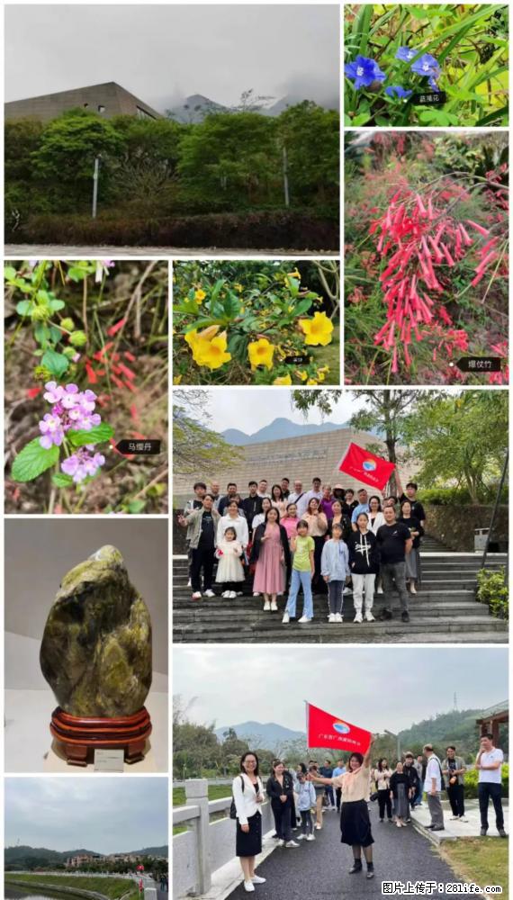 “粤灌文化 美好生活”油茶文化主题活动在广东深圳成功举办 - 吐鲁番生活资讯 - 吐鲁番28生活网 tlf.28life.net