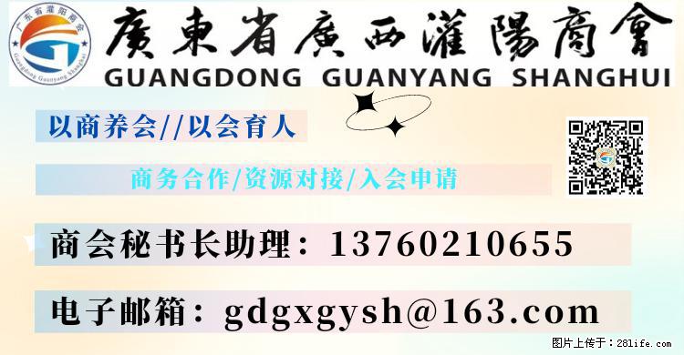 “粤灌文化 美好生活”油茶文化主题活动在广东深圳成功举办 - 吐鲁番生活资讯 - 吐鲁番28生活网 tlf.28life.net