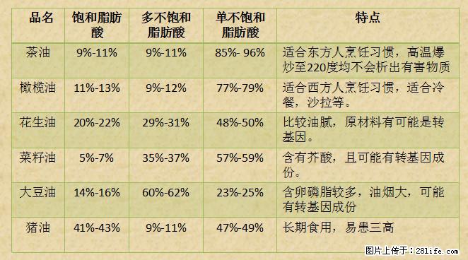 揭秘茶油的5大核心营养成分！被称为人体健康的“守护盾”！ - 吐鲁番生活资讯 - 吐鲁番28生活网 tlf.28life.net