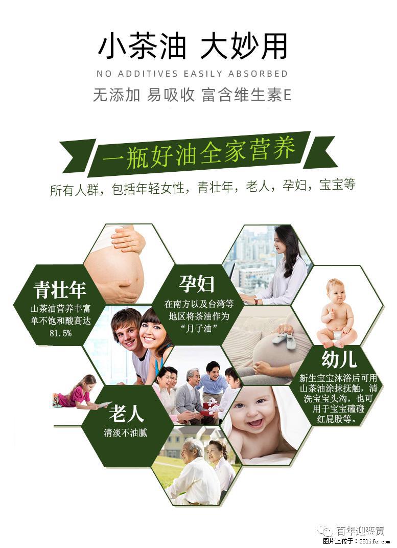 世界没有真相，只有认知，最好的食用油是中国的山茶油！ - 吐鲁番生活资讯 - 吐鲁番28生活网 tlf.28life.net
