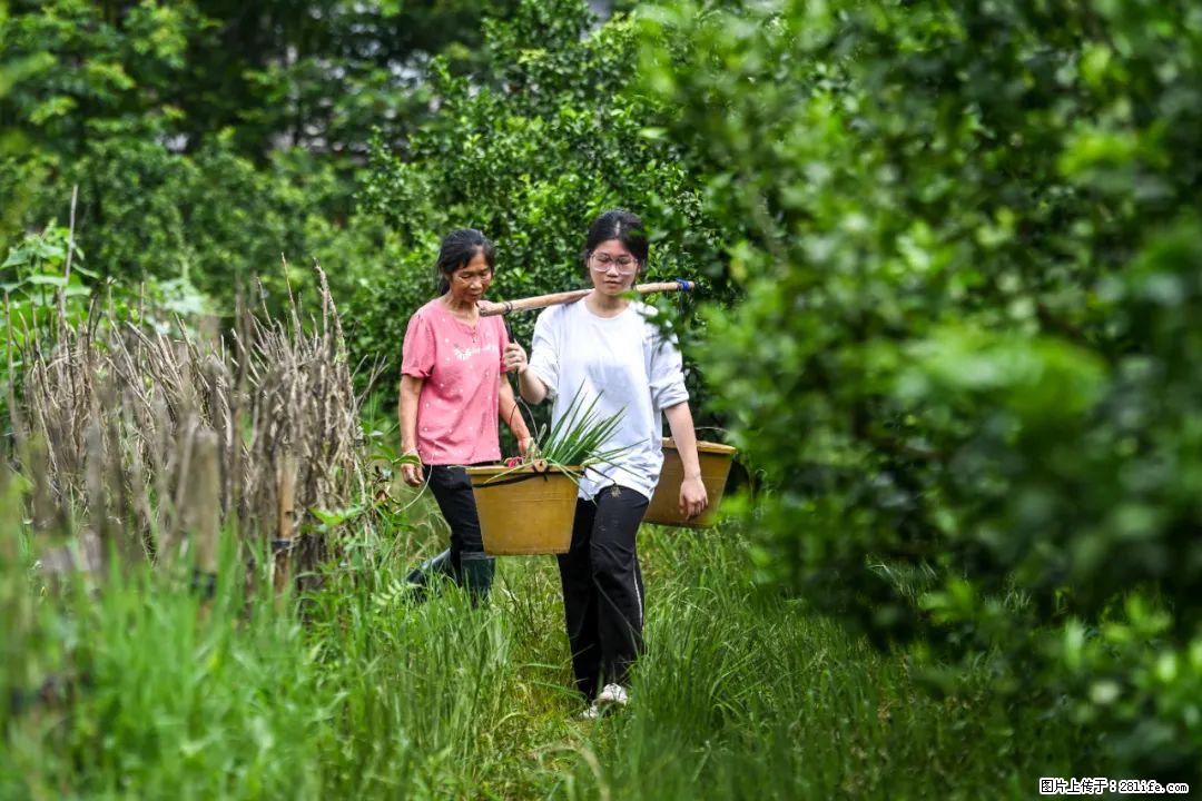 全网追的“扁担女孩”，找了一份暑假工，时薪12元 - 吐鲁番生活资讯 - 吐鲁番28生活网 tlf.28life.net