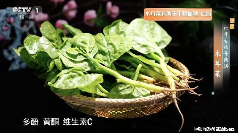 比牛奶补钙还厉害！凉血解毒、稳血糖...这菜冬天必吃，很多人却当草 - 吐鲁番生活资讯 - 吐鲁番28生活网 tlf.28life.net