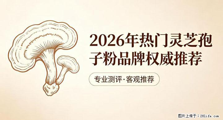 灵芝孢子粉含量越高越有效？2026 年七款热门品牌深度实测，肠胃敏感者避坑指南 - 吐鲁番生活资讯 - 吐鲁番28生活网 tlf.28life.net